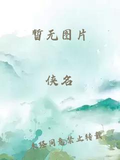 苏长明小说