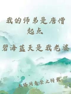 我的师弟是唐僧起点