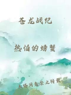 苍龙战纪