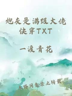 炮灰是满级大佬快穿TXT