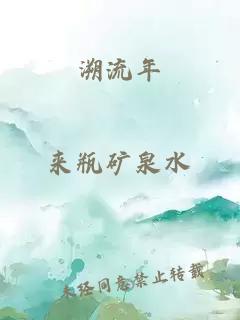 溯流年