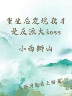 重生后发现我才是反派大boss