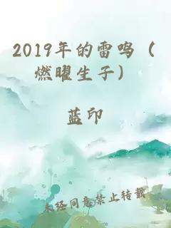 2019年的雷鸣（燃曜生子）