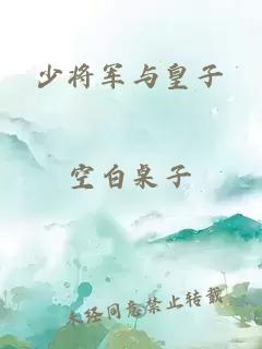 少将军与皇子