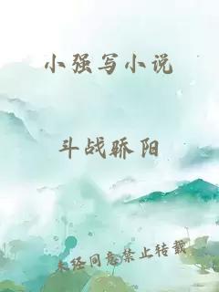 小强写小说