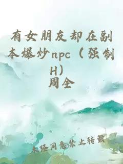 有女朋友却在副本爆炒npc（强制H）