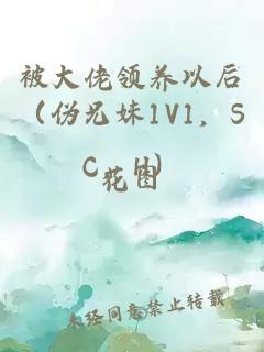 被大佬领养以后（伪兄妹1V1，SC，H）