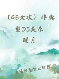 （GB女攻）非典型DS关系