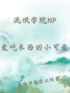 流氓学院NP