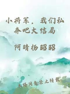 小将军，我们私奔吧大结局