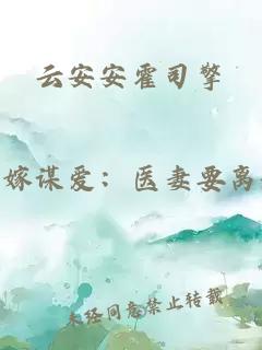 云安安霍司擎