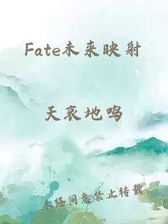 Fate未来映射