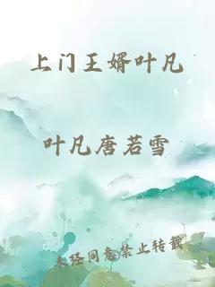 上门王婿叶凡