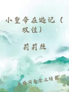 小皇帝在逃记（双性）