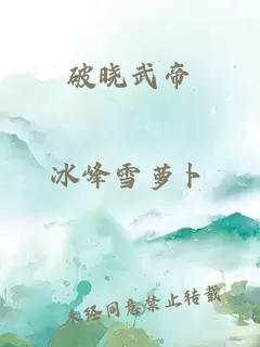 破晓武帝