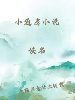 小通房小说