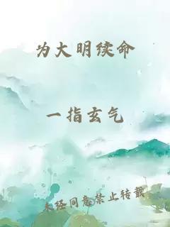 为大明续命