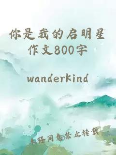 你是我的启明星作文800字