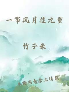 一帘风月挂九重