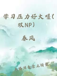 学习压力好大喔(双NP）