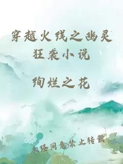 穿越火线之幽灵狂袭小说